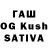 Галлюциногенные грибы Psilocybine cubensis F099 Man